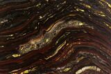 Polished Tiger Iron Stromatolite - ( Billion Years) #96230-1